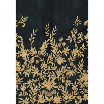 Black/Gold