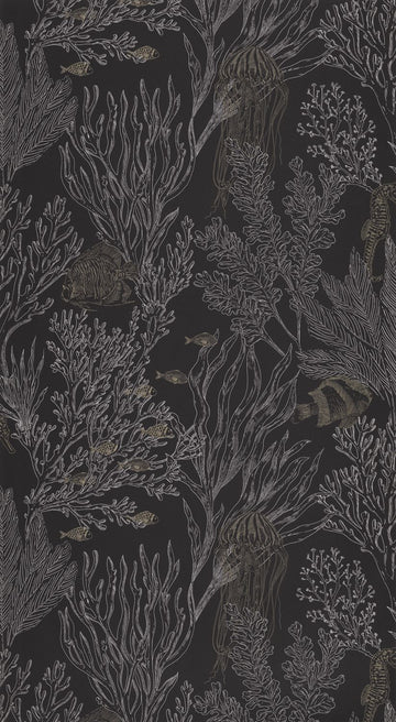 Black/gold