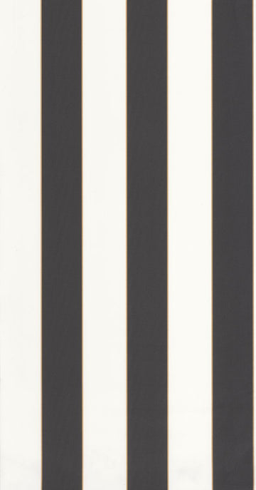 Black/Gold