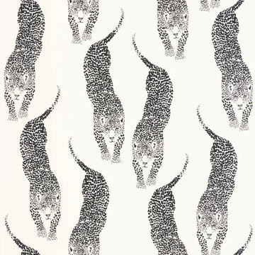 Black and White