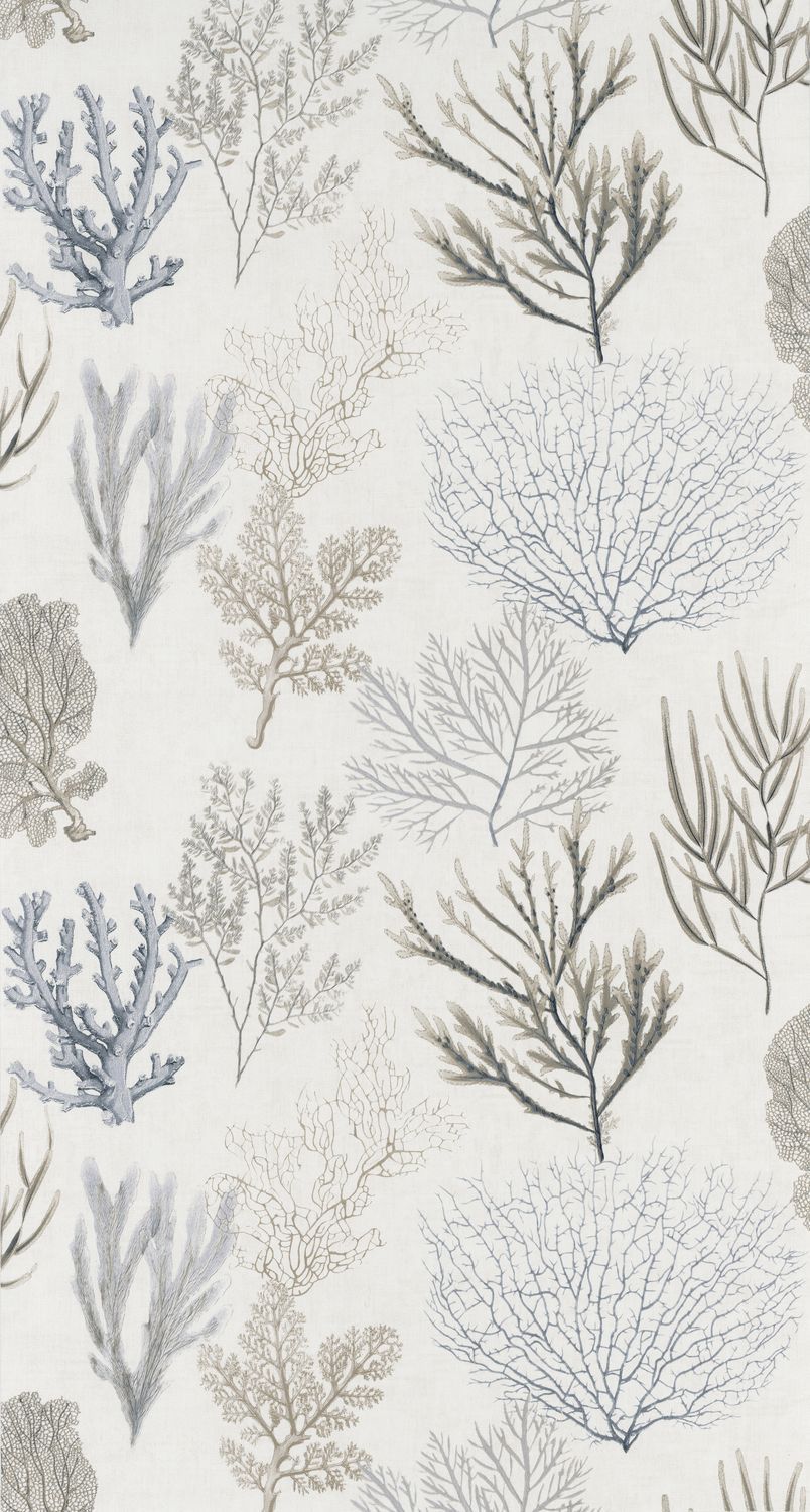 CORAIL Wallpaper
