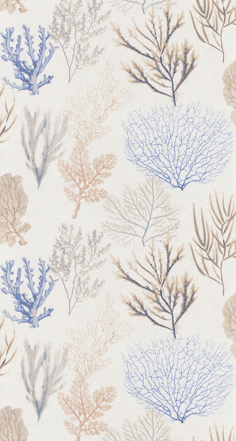 CORAIL Wallpaper