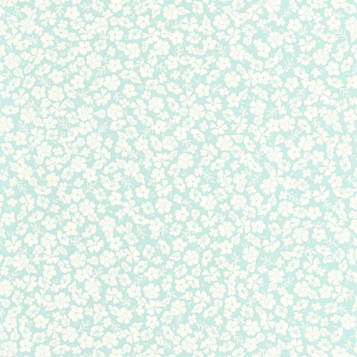FUNNY Wallpaper