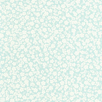 Blue/White