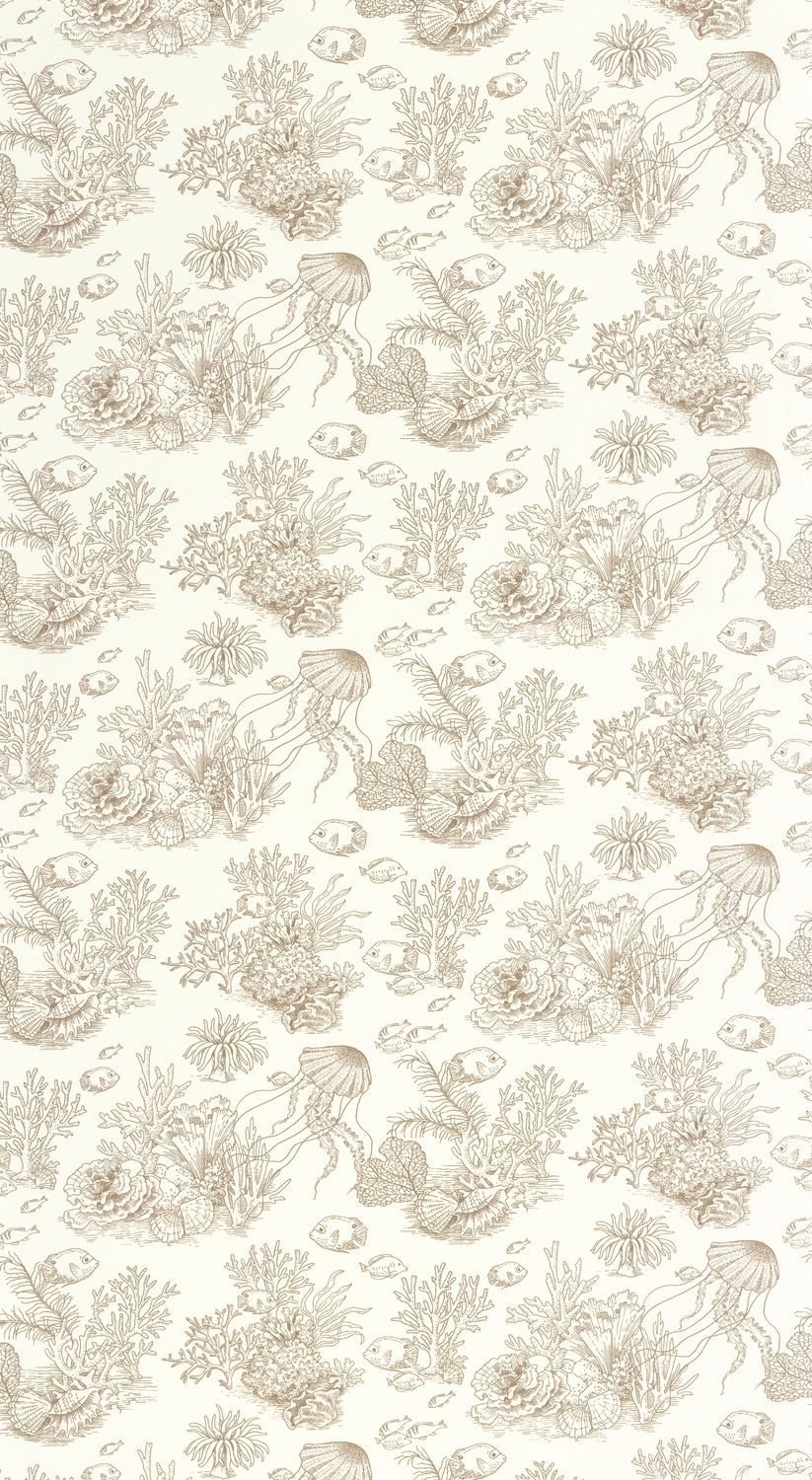 CÔTE SAUVAGE Wallpaper