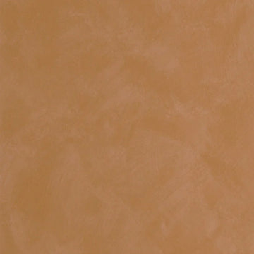 Burnt Earth