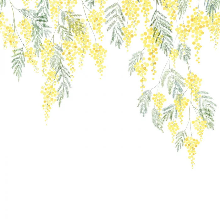 MIMOSA Wallpanel