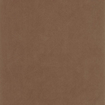 Cacao