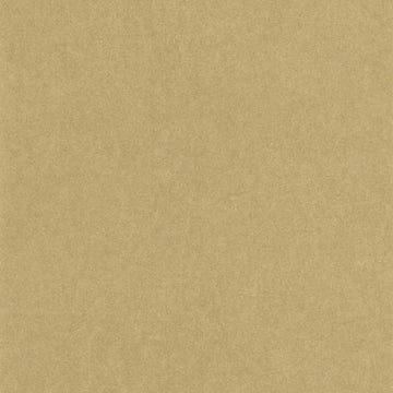 Beige Camel