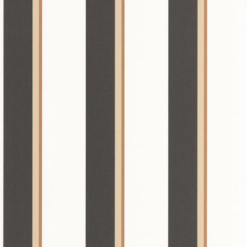 Black/Camel