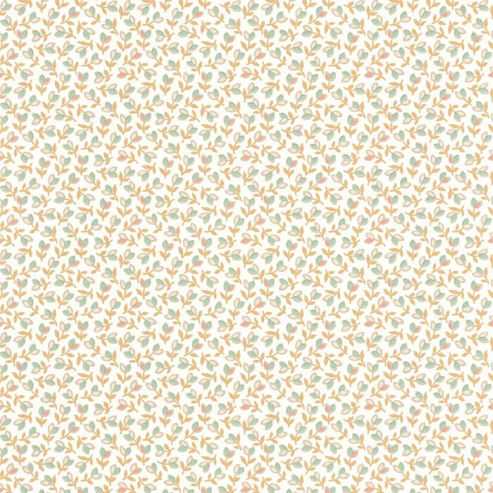 DARWIN TULIP Wallpaper