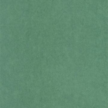 Canopy Green