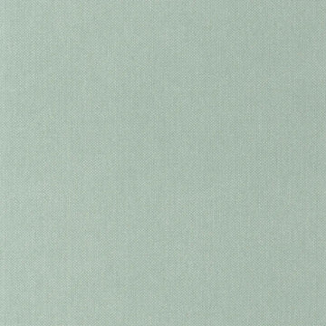 Celadon Green