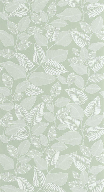 Celadon