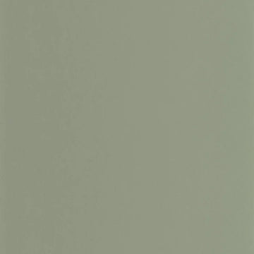 Celadon