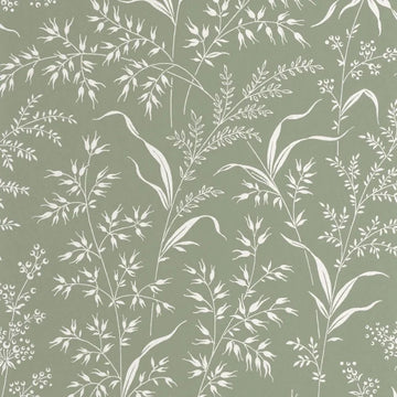 Celadon