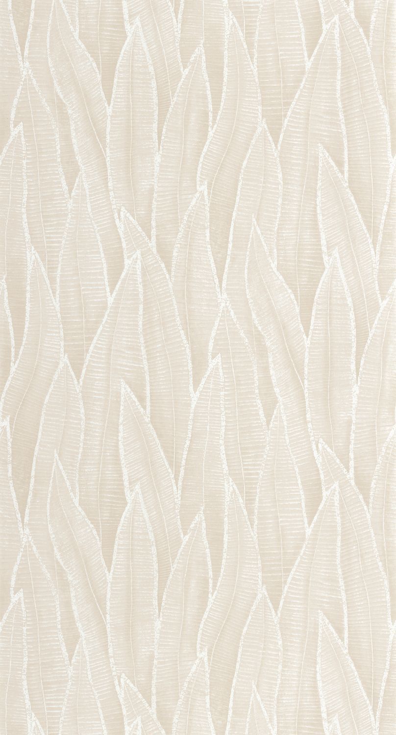 SANSEVIERIA Wallpaper