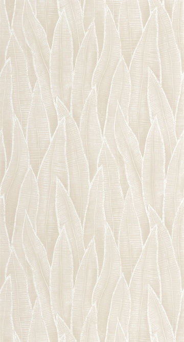 Chalk White