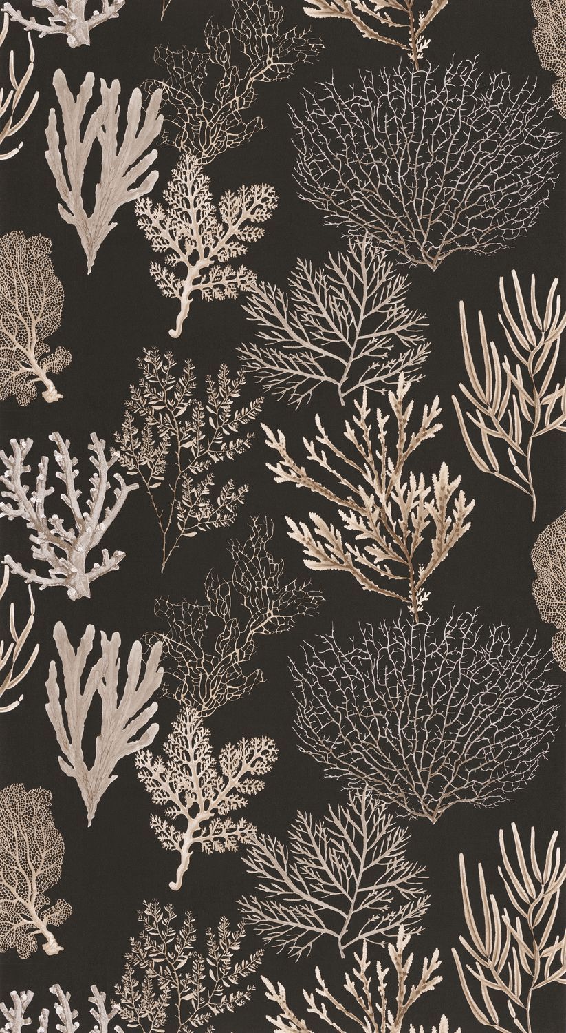 CORAIL Wallpaper