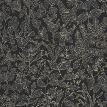 Charcoal Black