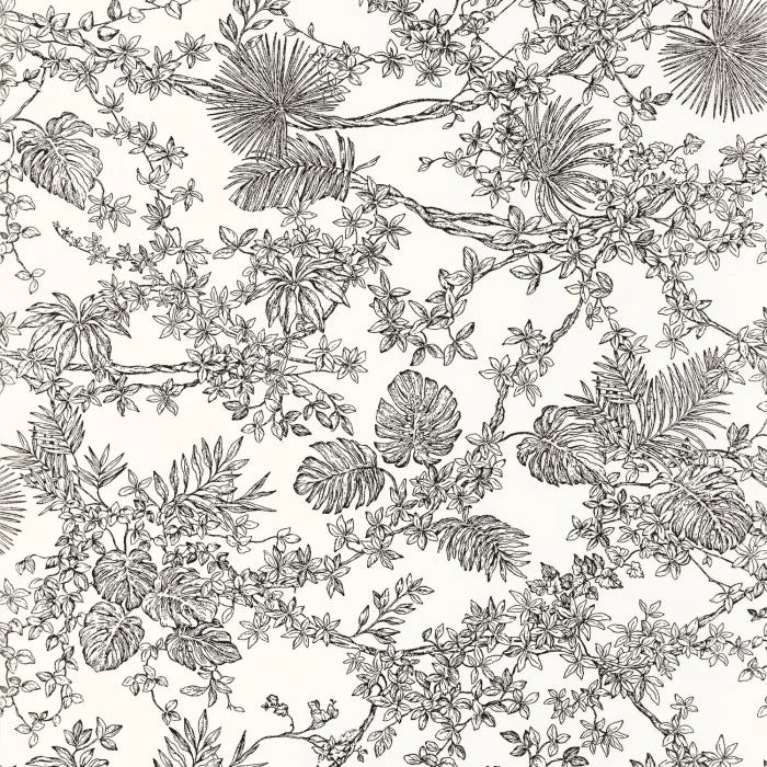 JARDIN DES PLANTES Wallpaper