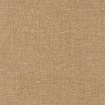 Cinnamon