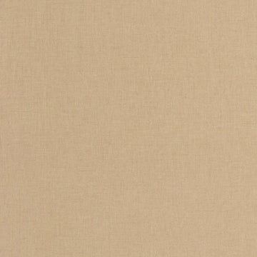 Cinnamon