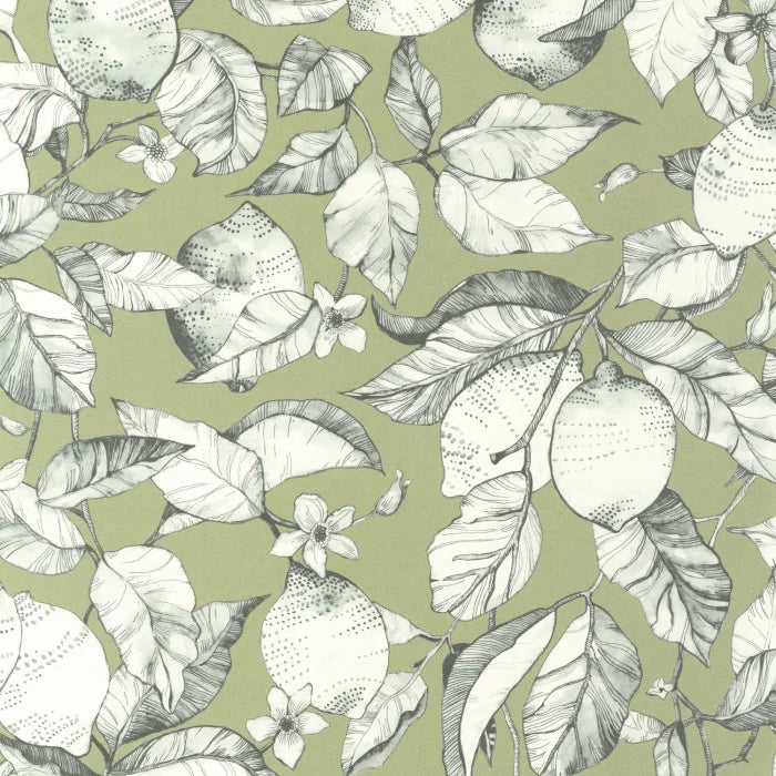 LEMON TREE Wallpaper