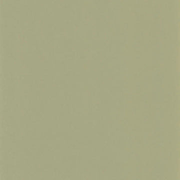 Clay Green