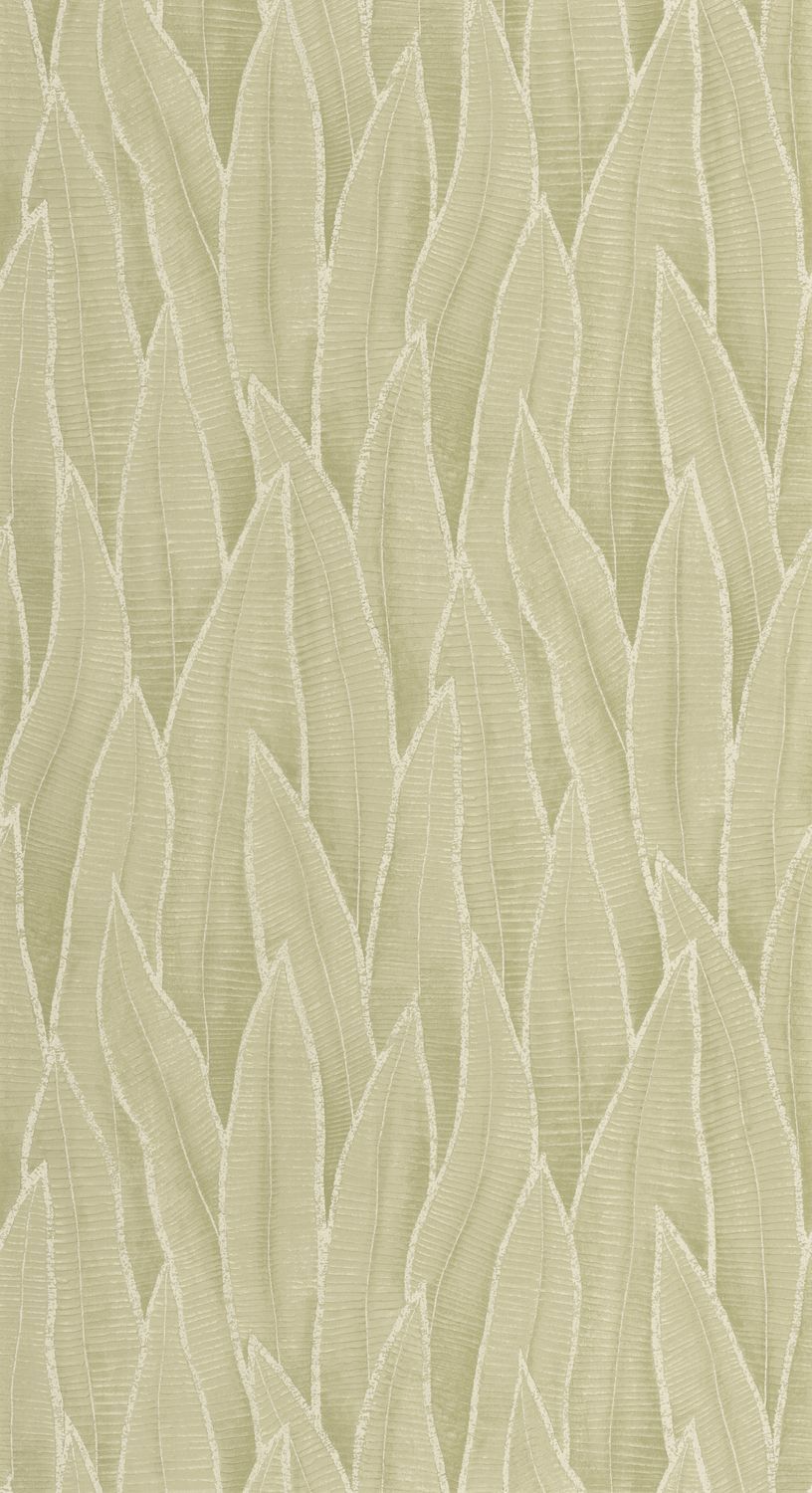 SANSEVIERIA Wallpaper