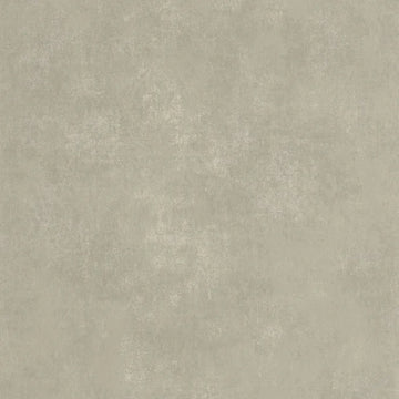 Clay