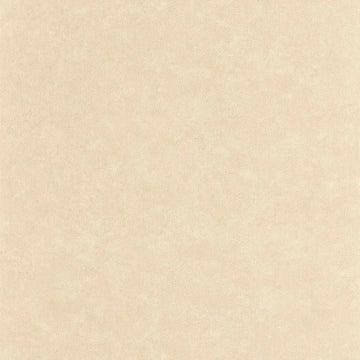 Clay Beige
