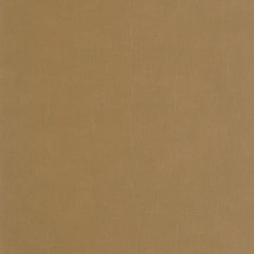 Beige Cognac