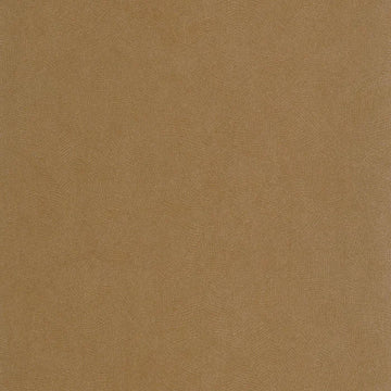 Beige Cognac