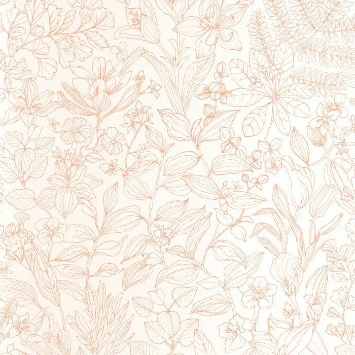 ESQUISSE Wallpaper