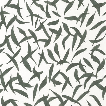 Cypress Green