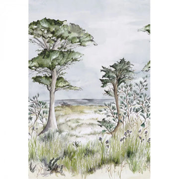 Cypress/Sky