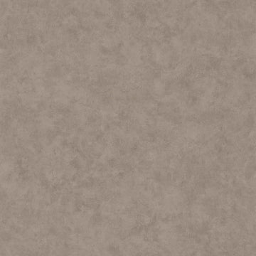 Dark Gray Taupe