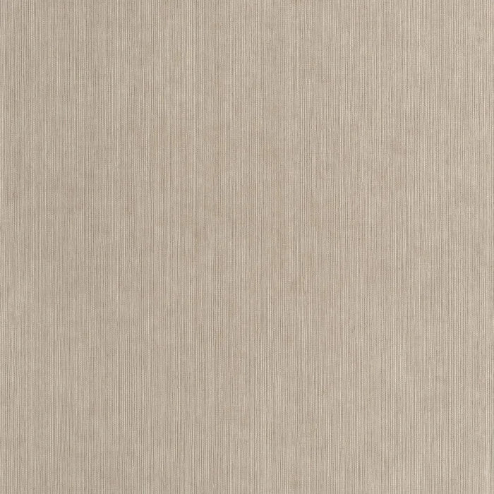 SISAL Wallpaper