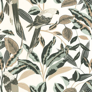 Eucalyptus Green