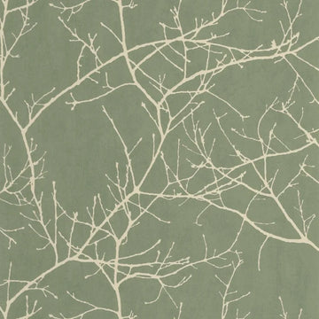 Eucalyptus Green