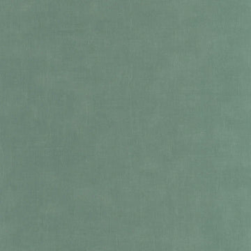 Eucalyptus Green