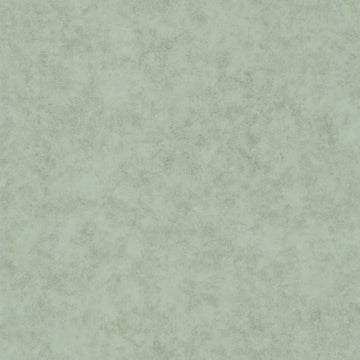 Eucalyptus Green
