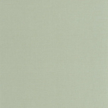 Eucalyptus Green