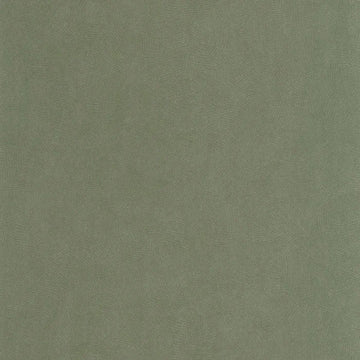 Eucalyptus Green
