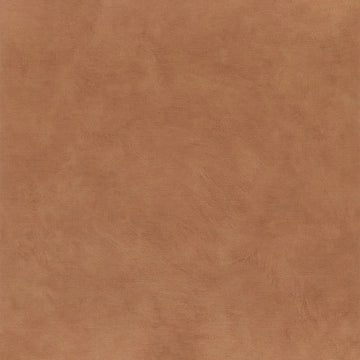 Fawn