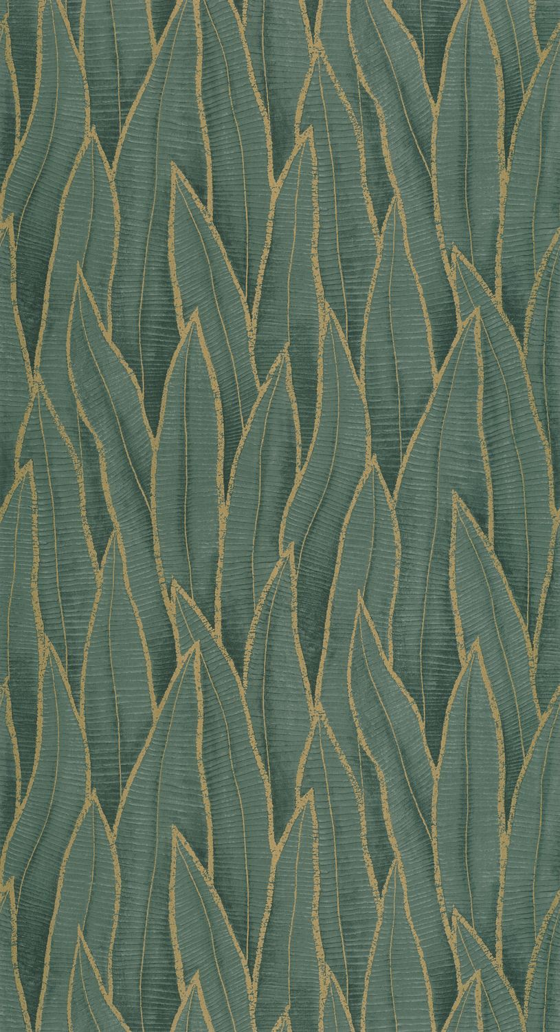 SANSEVIERIA Wallpaper