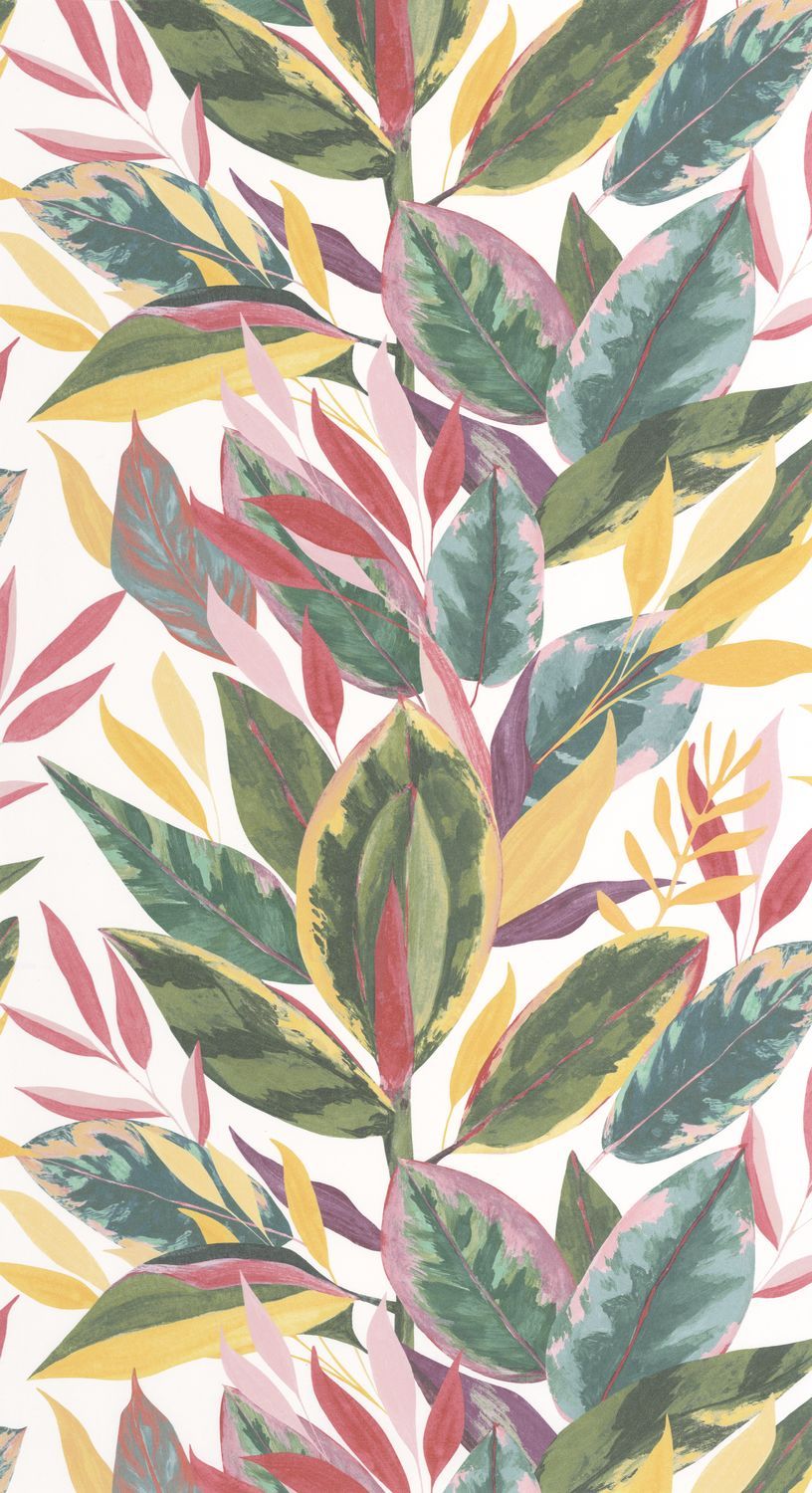 FICUS Wallpaper