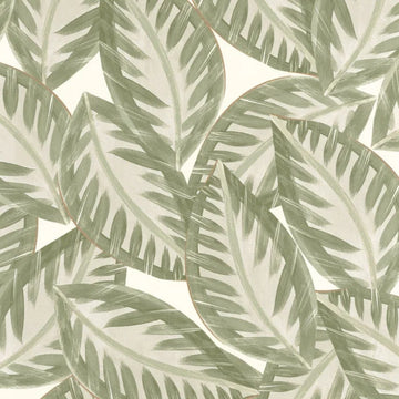 Gold Khaki Green
