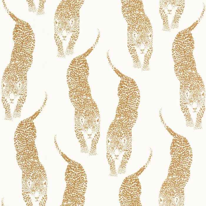 PANTHERA Wallpaper